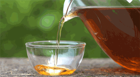 泡茶