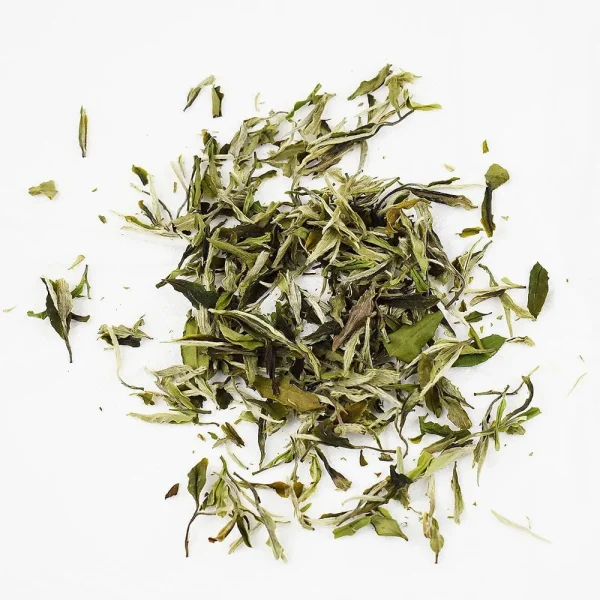 White Peony Tea (Bai Mudan)