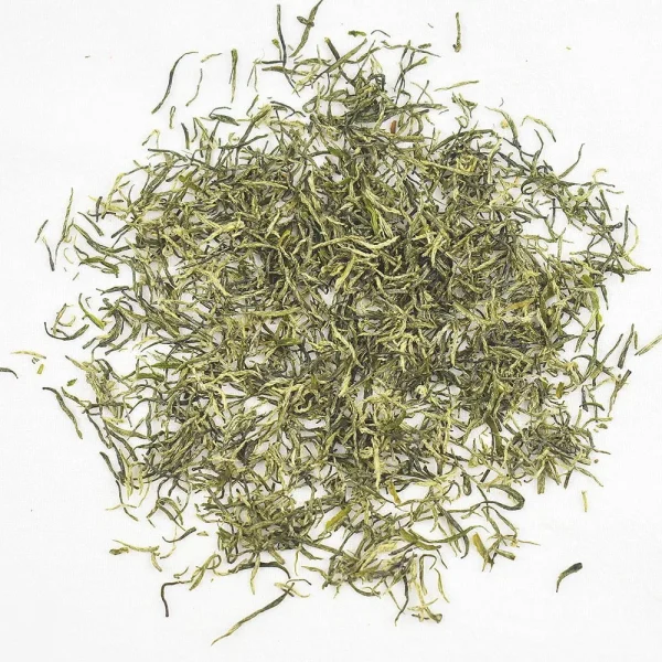 Green Tip Tea (Xinyang Maojian) 2025
