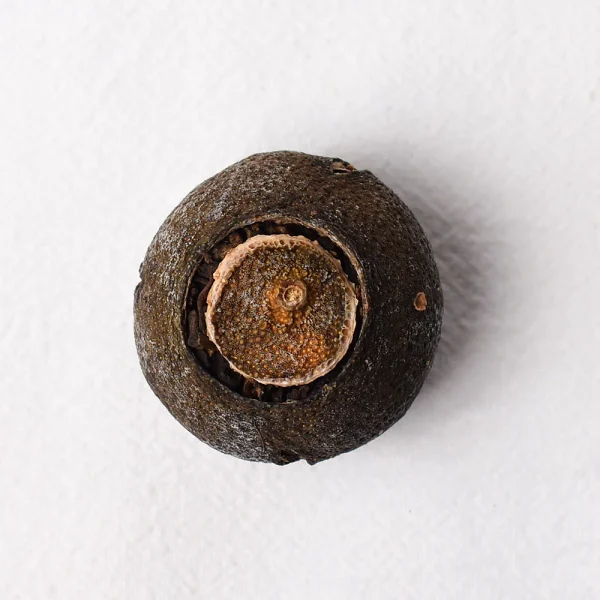 Fuhai Lucky Tangerine Ripe Pu-Erh (Xiao Qing Gan)