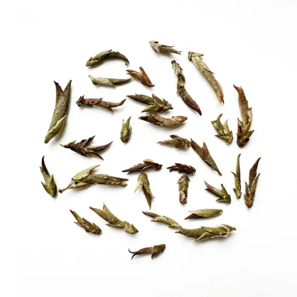 Wild Purple Yabao Tea, Da Xue Mountain