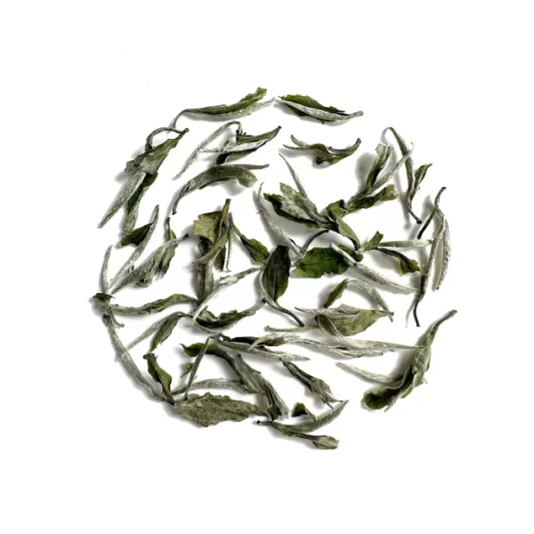 White Peony White Tea (Bai Mu Dan)
