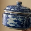 Chinese Blue and White Porcelain Tea Caddy