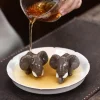 elephant tea pet 3