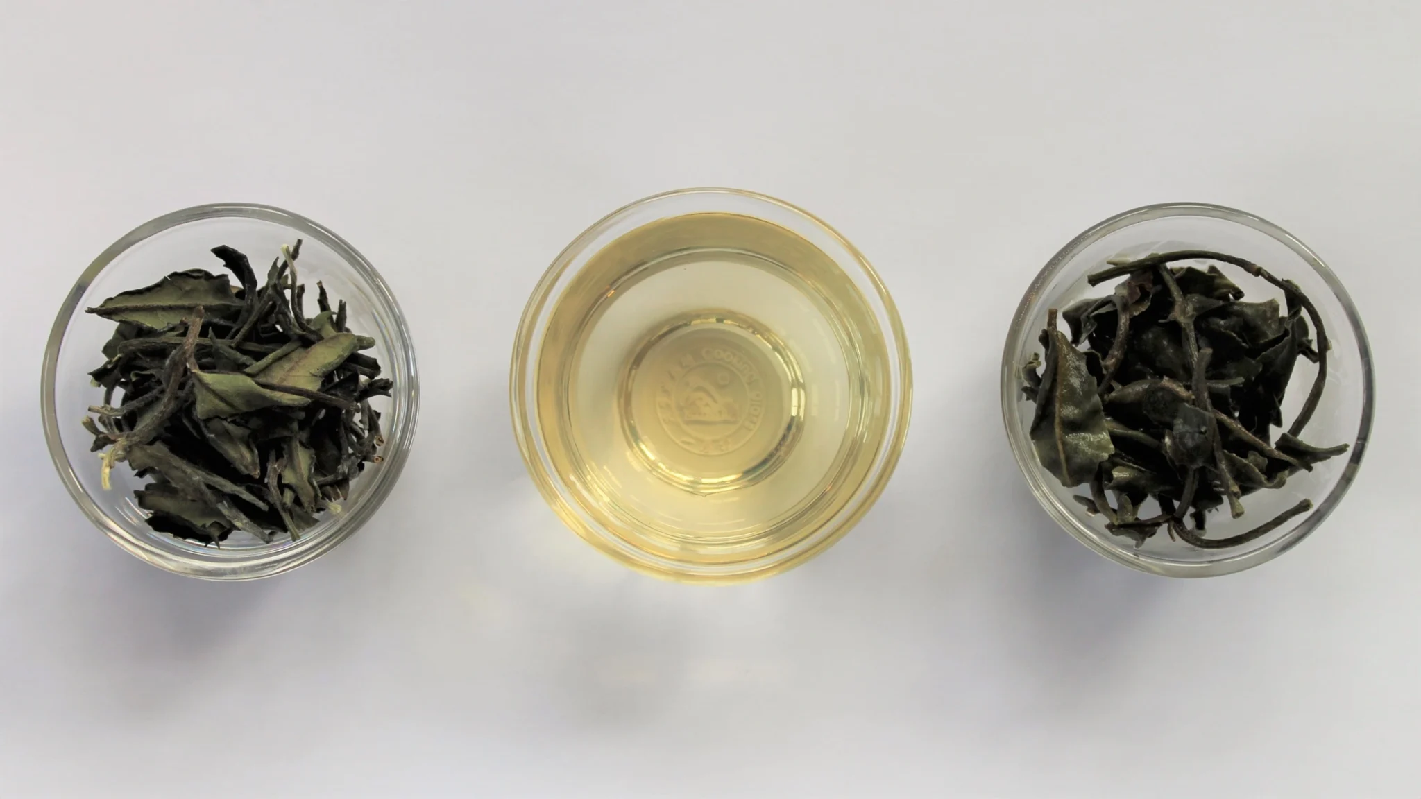 Learn about white tea