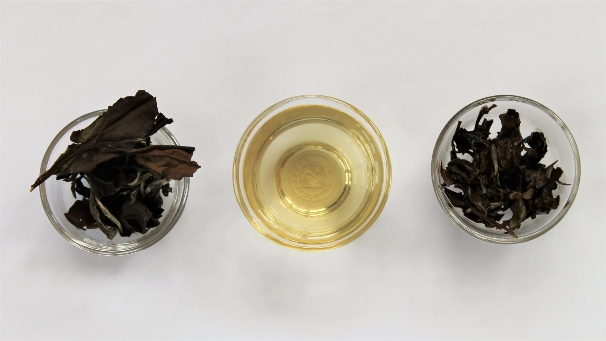 Learn about white tea