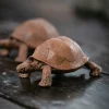Longevity Turtle Yixing Zisha Tea Pet